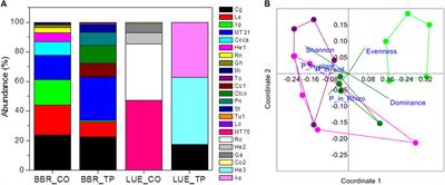 Forest Soil Phosphorus Resources and Fertilization Affect Ectomycorrhizal Community Composition, Beech P Uptake Efficiency, and Photosynthesis